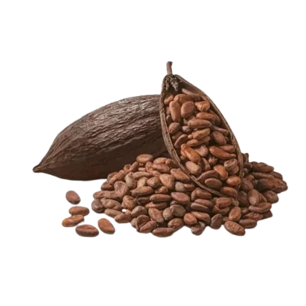 Organic Cocoa