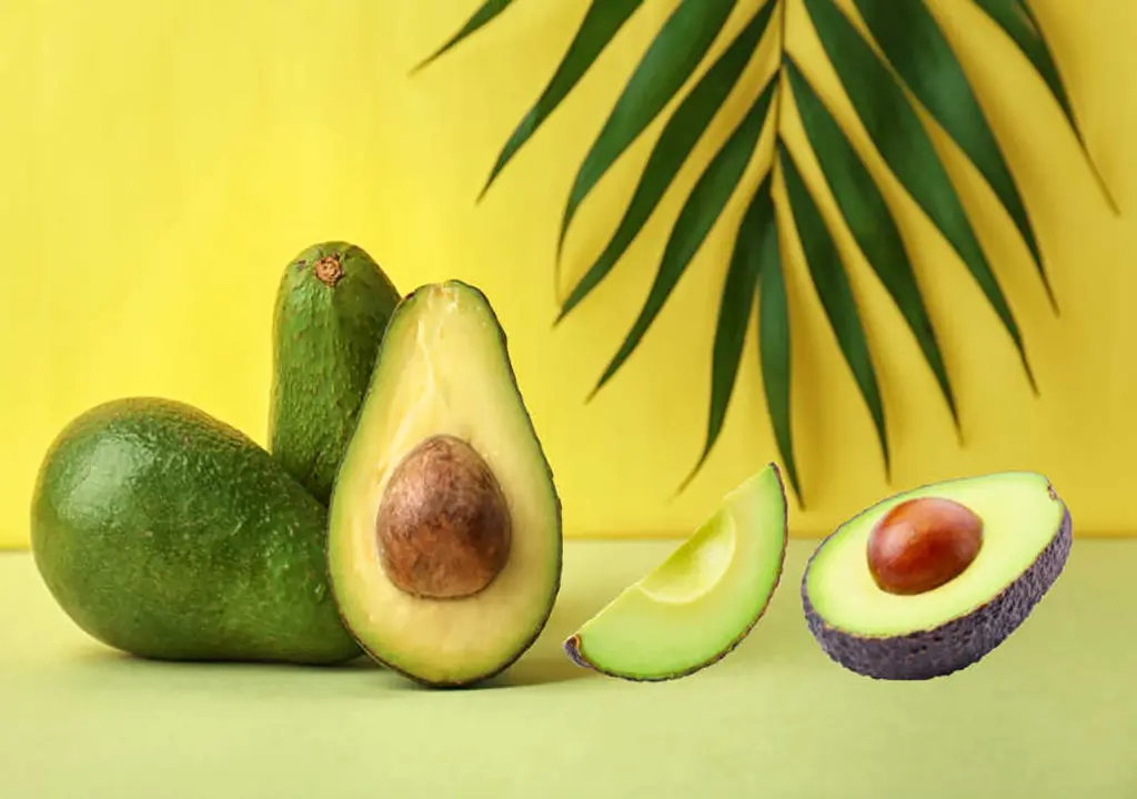 Avocado-Blog