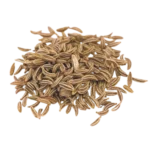 Premium Cumin seeds