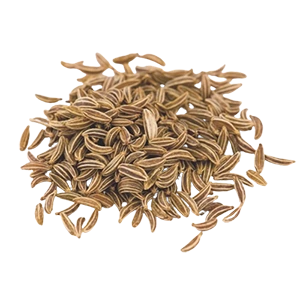 Premium Cumin seeds