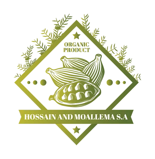 Hossain-Moallema-SA