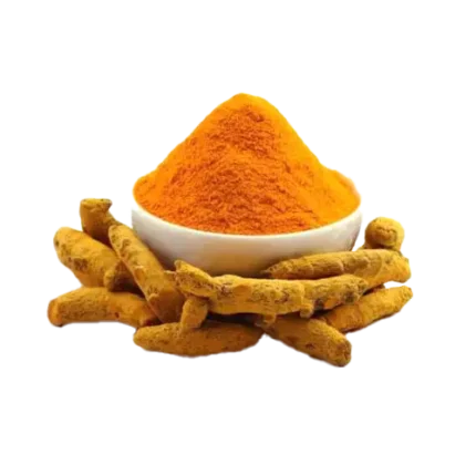 Fresh Turmeric Powder