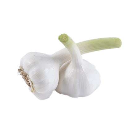 Buy Fresh Garlic Online