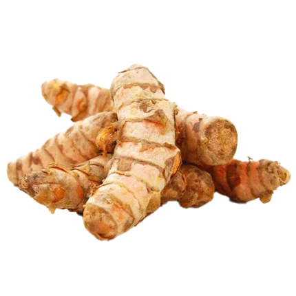 Organic Fresh Turmeric